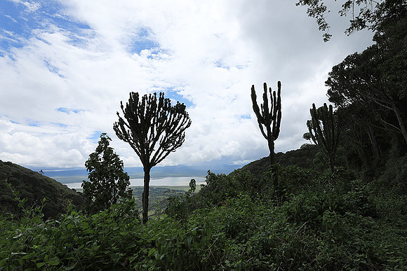 Ngorongoro crater
