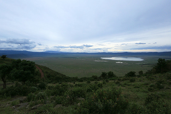 In the crater of Ngorongoro