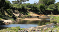 Serengeti