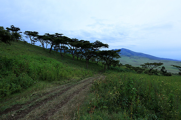 In the crater of Ngorongoro