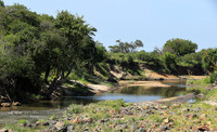 Serengeti