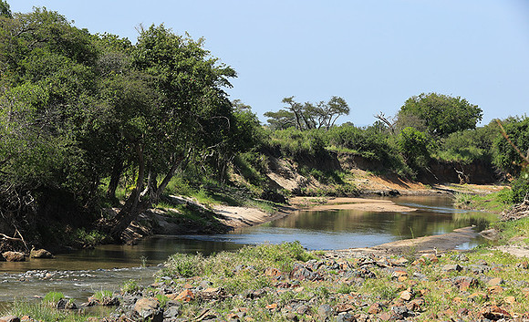 Serengeti