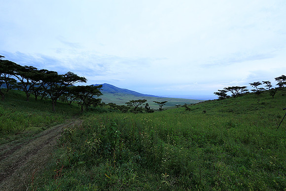 In the crater of Ngorongoro