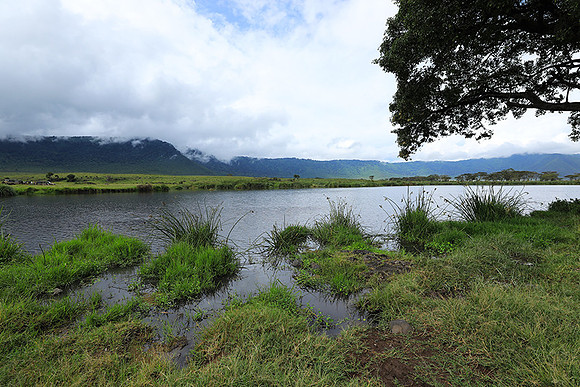 Ngorongoro crater