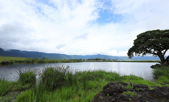 Ngorongoro crater