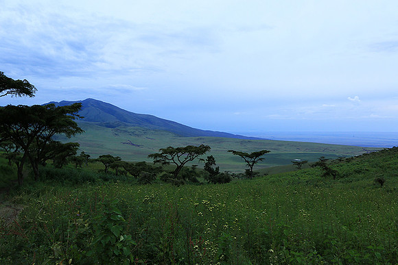 In the crater of Ngorongoro