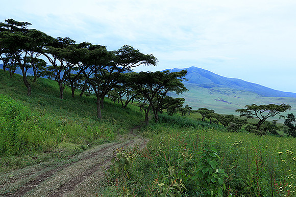 In the crater of Ngorongoro