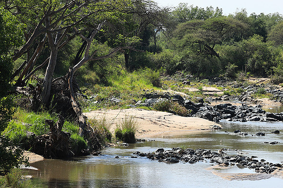Serengeti