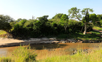 Serengeti
