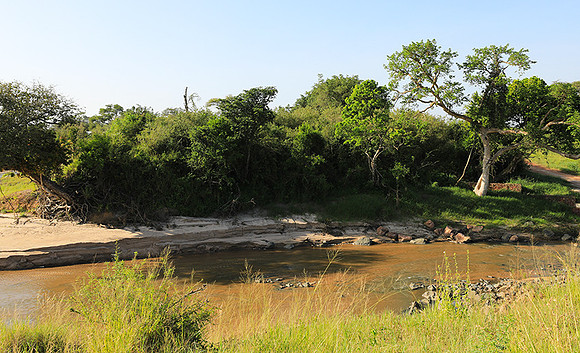 Serengeti