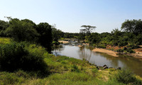 Serengeti
