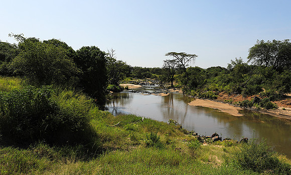 Serengeti
