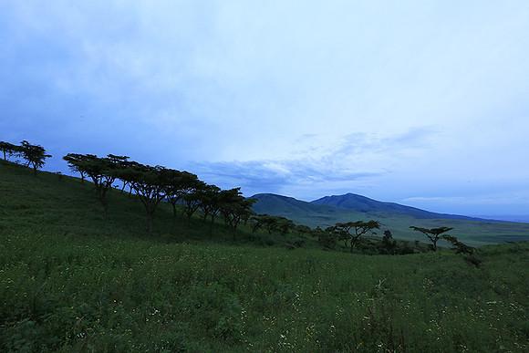 In the crater of Ngorongoro
