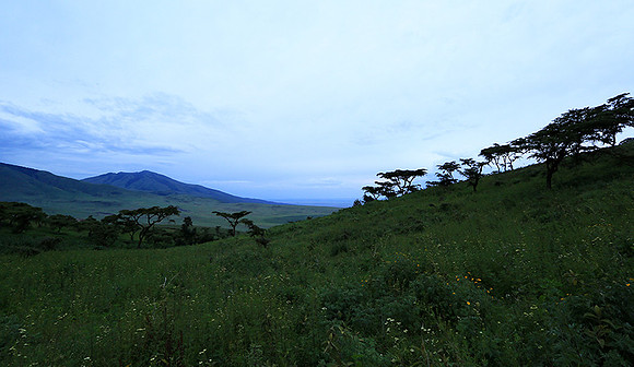 In the crater of Ngorongoro
