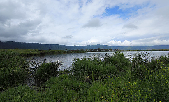 Ngorongoro crater