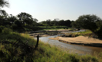Serengeti