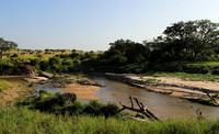 Serengeti