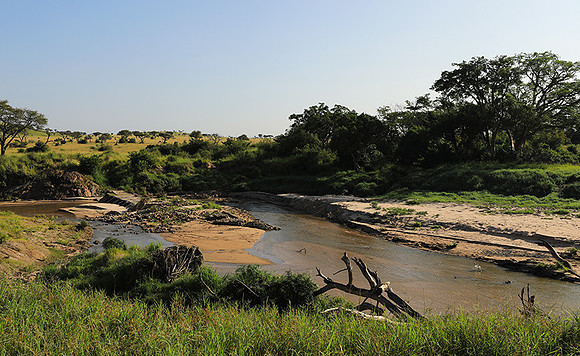 Serengeti