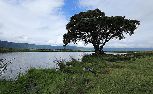 Ngorongoro crater