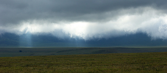 In the crater of Ngorongoro