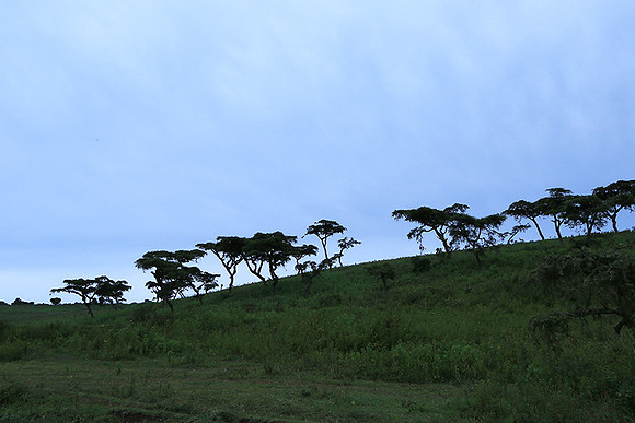 In the crater of Ngorongoro
