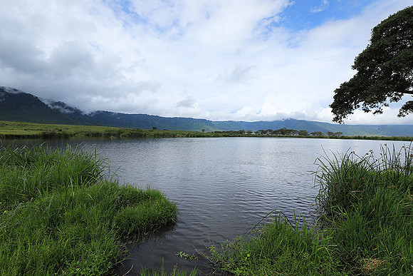 Ngorongoro crater