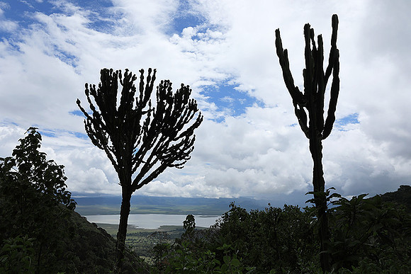 Ngorongoro crater