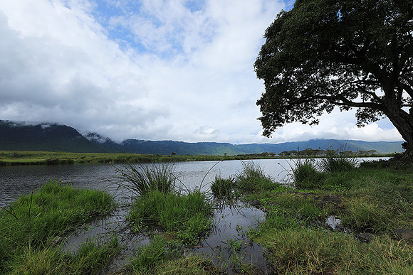Ngorongoro crater