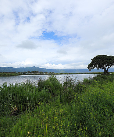 Ngorongoro crater