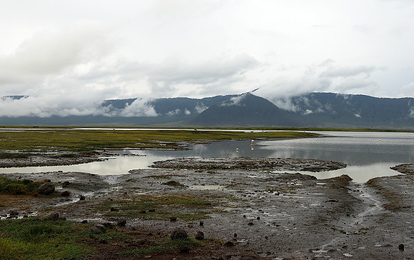 Ngorongoro crater