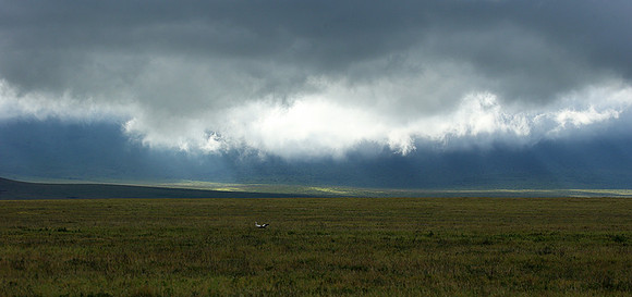 In the crater of Ngorongoro