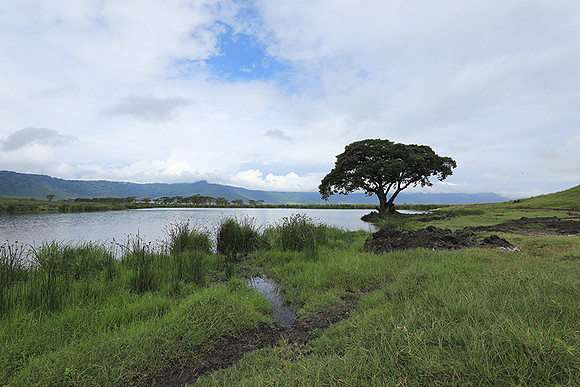 Ngorongoro crater