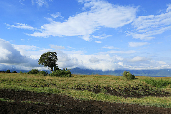In the crater of Ngorongoro