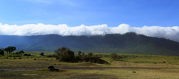 In the crater of Ngorongoro