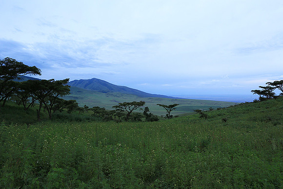 In the crater of Ngorongoro