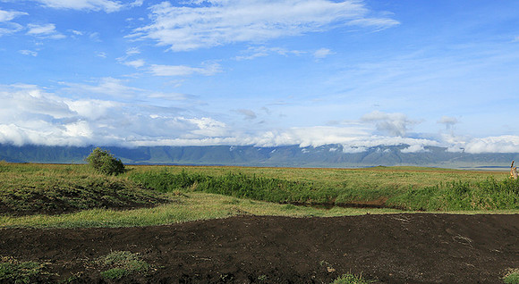 In the crater of Ngorongoro