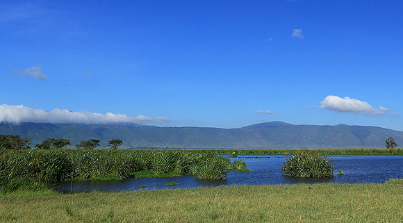 In the crater of Ngorongoro
