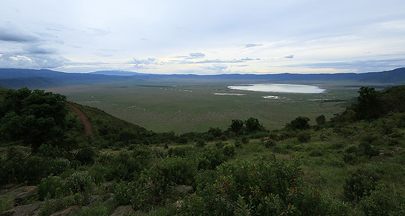 In the crater of Ngorongoro