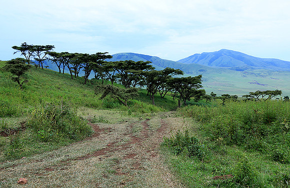 In the crater of Ngorongoro