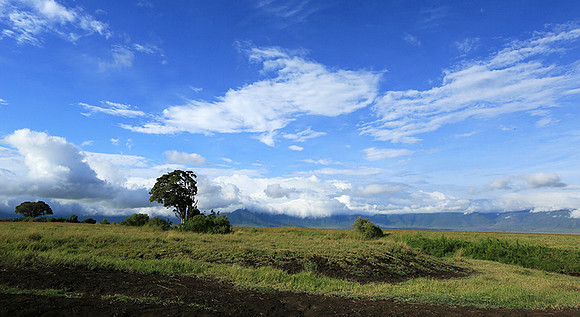 In the crater of Ngorongoro