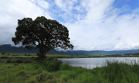 Ngorongoro crater