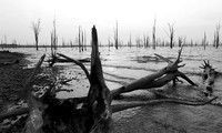 Lake Kariba