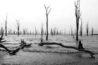 Lake Kariba