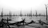 Lake Kariba