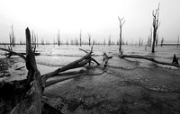 Lake Kariba