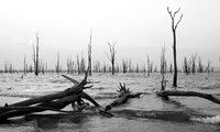 Lake Kariba