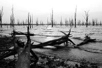 Lake Kariba