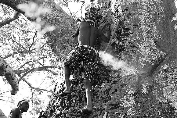 Hadzabe tribe