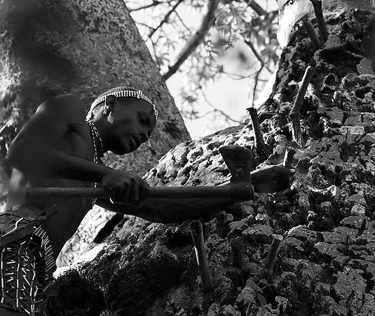 Hadzabe tribe