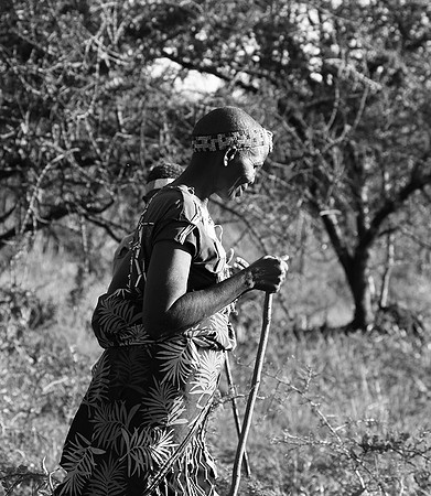 Hadzabe tribe